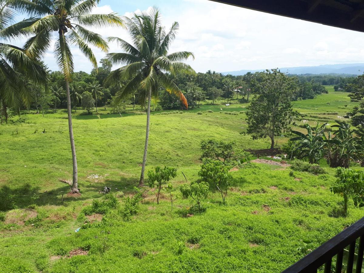 Villa Del Carmen Haven Bohol Carmen (Bohol) Exterior foto